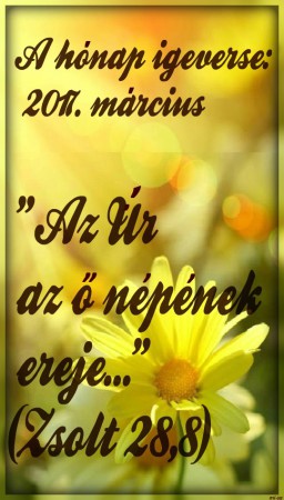 2017 - március hónap igeverse